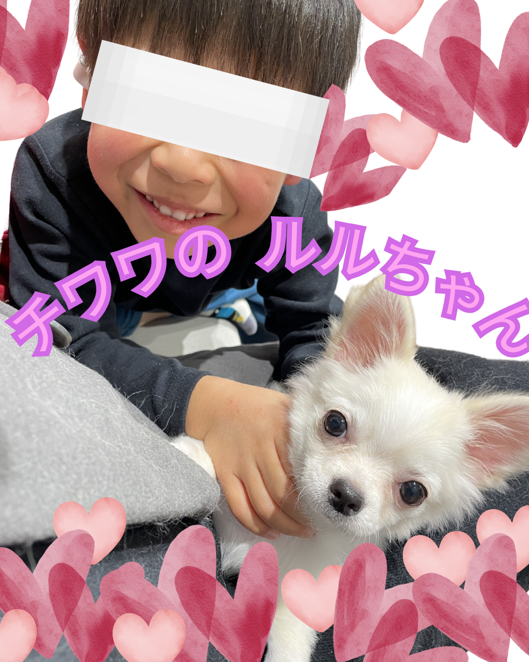 ルルちゃんと息子